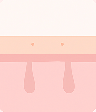 3. Follicules inactifs & peau lisse